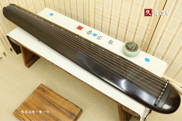 初学古琴者买什么价位古琴好些 选购建议 - 久音古琴