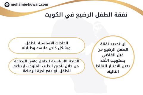 دعوى نفقة صغار بنوعيها في الكويت